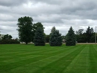 A finished mow, stripes running to the treeline under overcast sky.